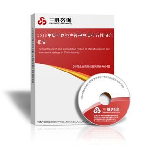 不良資產(chǎn)管理項(xiàng)目可行性研究報(bào)告 整合資產(chǎn)管理與專(zhuān)業(yè)咨詢(xún)的戰(zhàn)略路徑